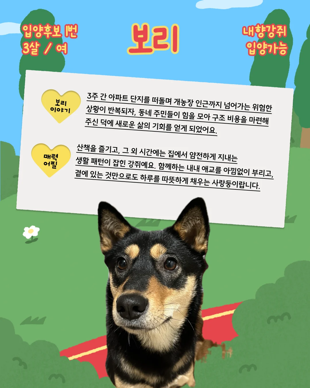 보리 대표 이미지