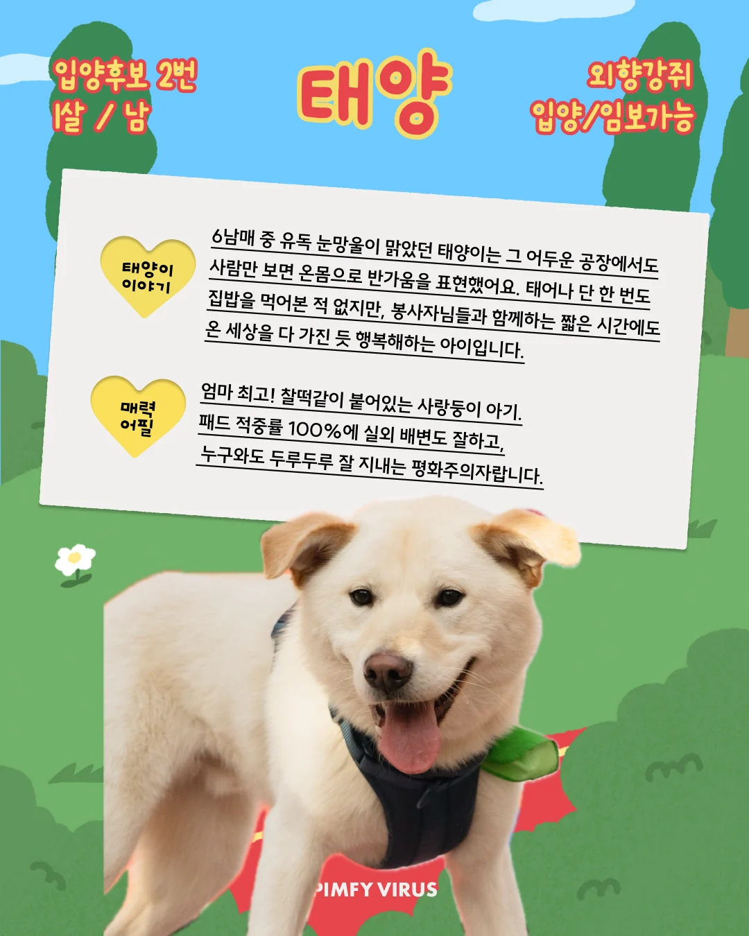 태양 대표 이미지