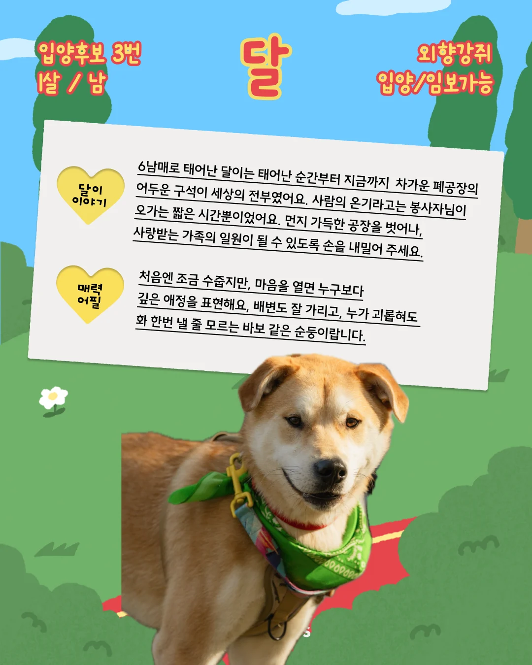달 대표 이미지