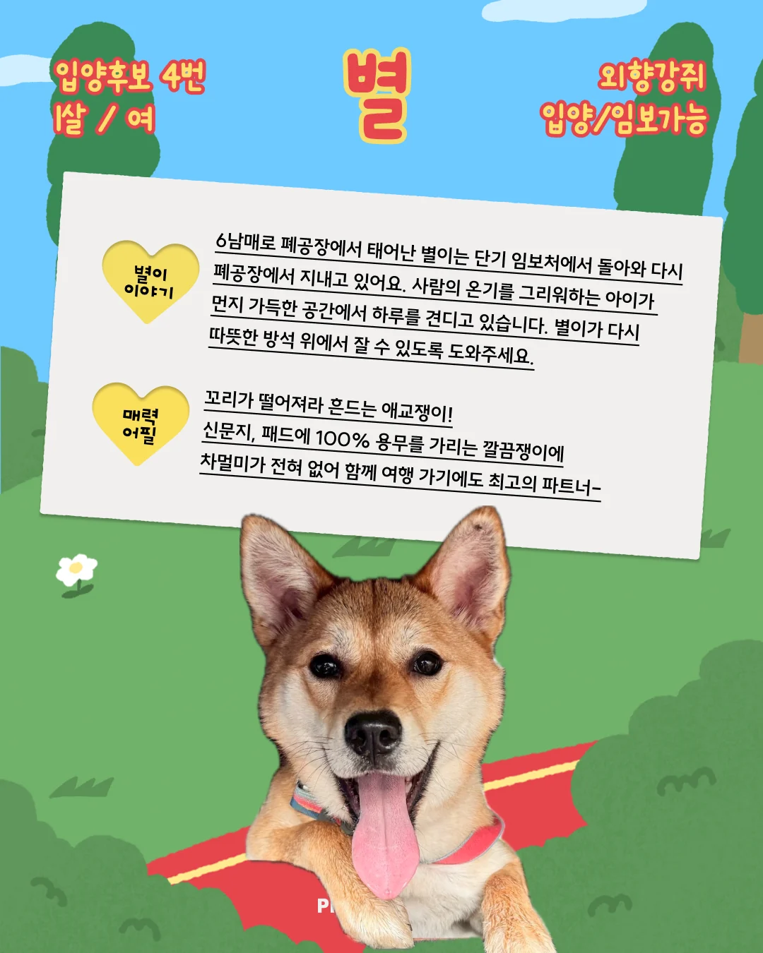 별 대표 이미지