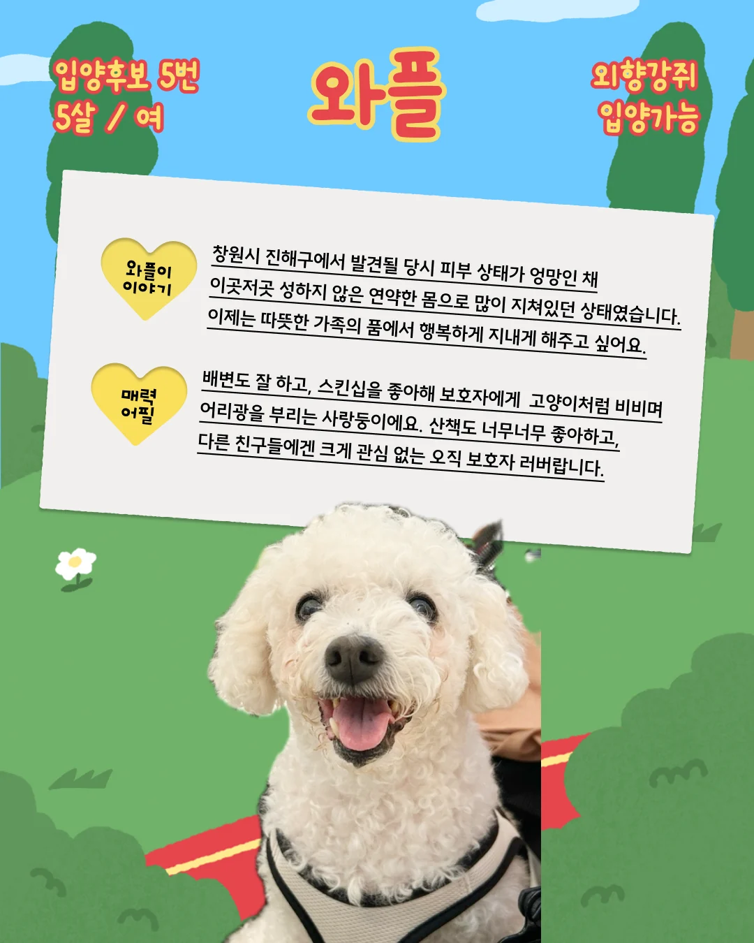 와플 대표 이미지