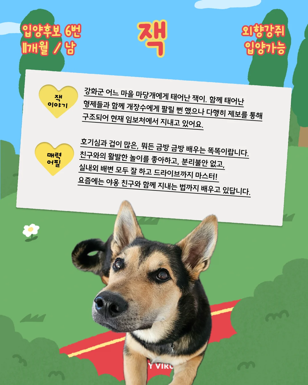 잭 대표 이미지