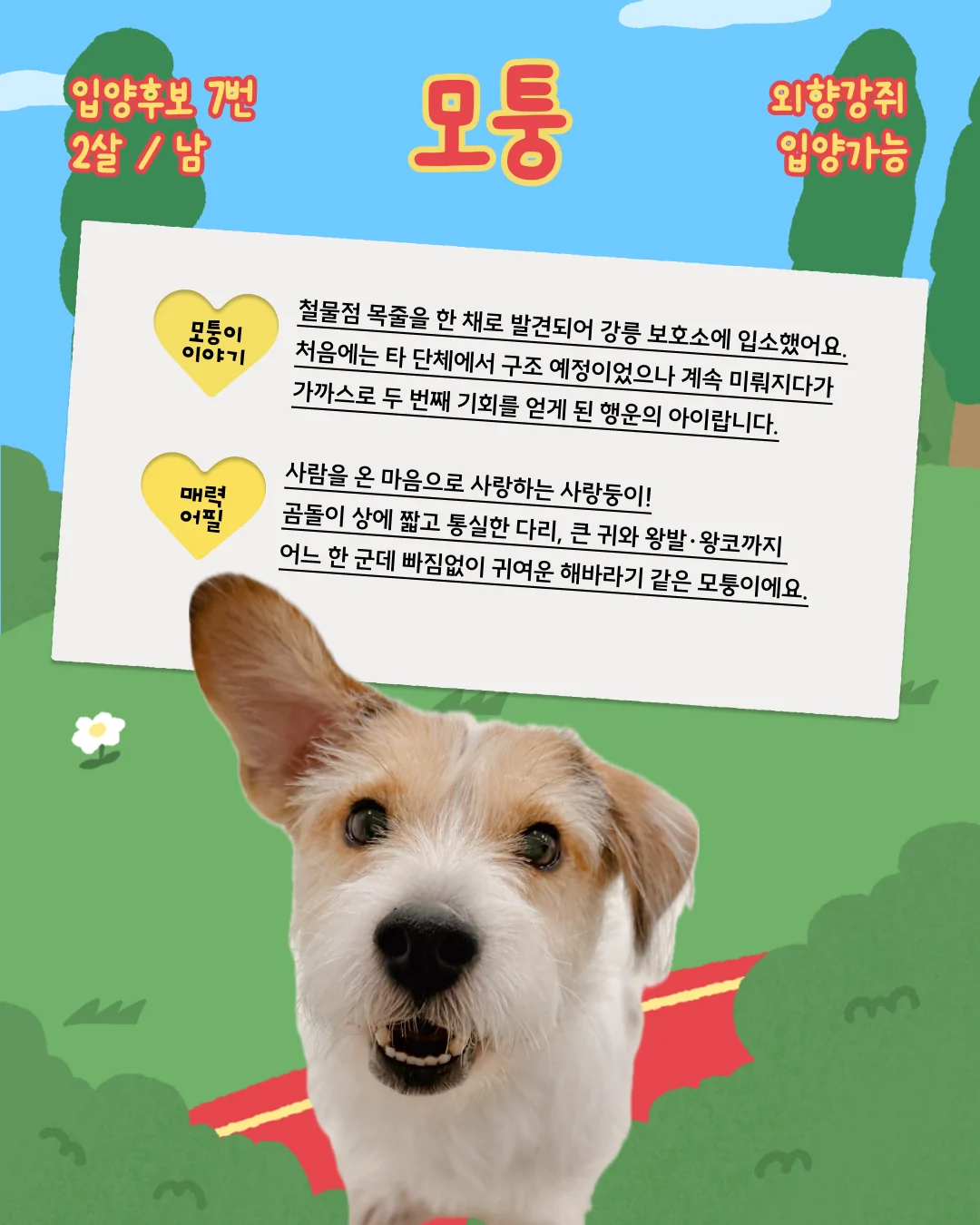 모퉁 대표 이미지