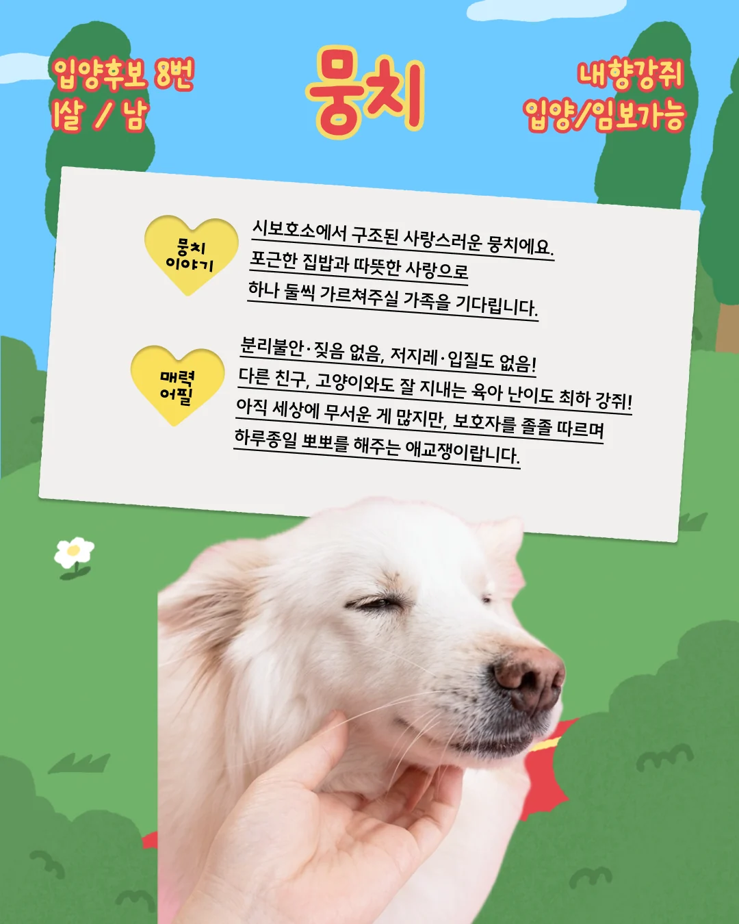 뭉치 대표 이미지