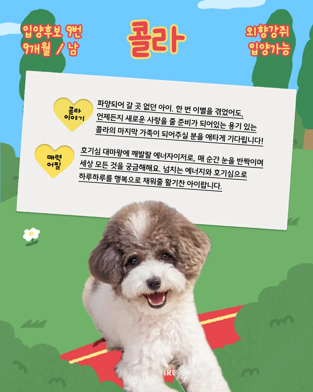 콜라 대표 이미지