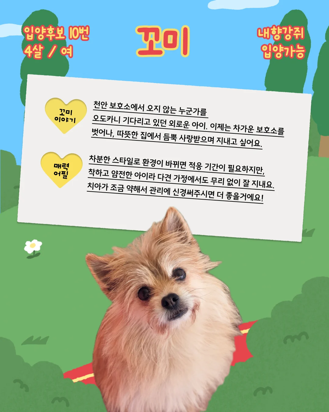 꼬미 대표 이미지