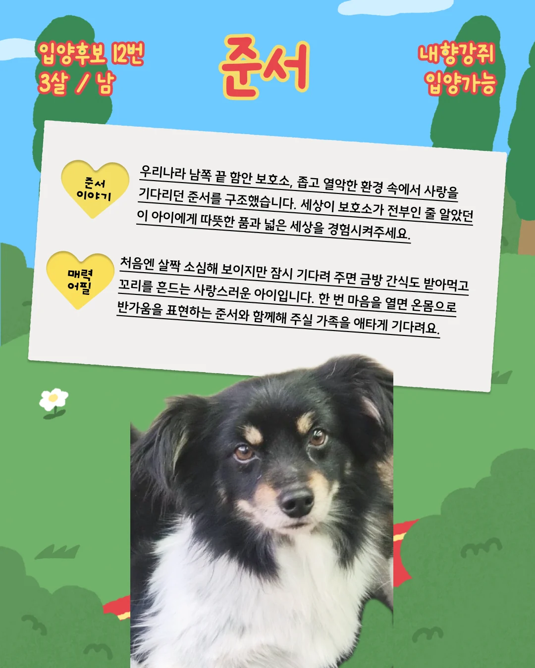 준서 대표 이미지