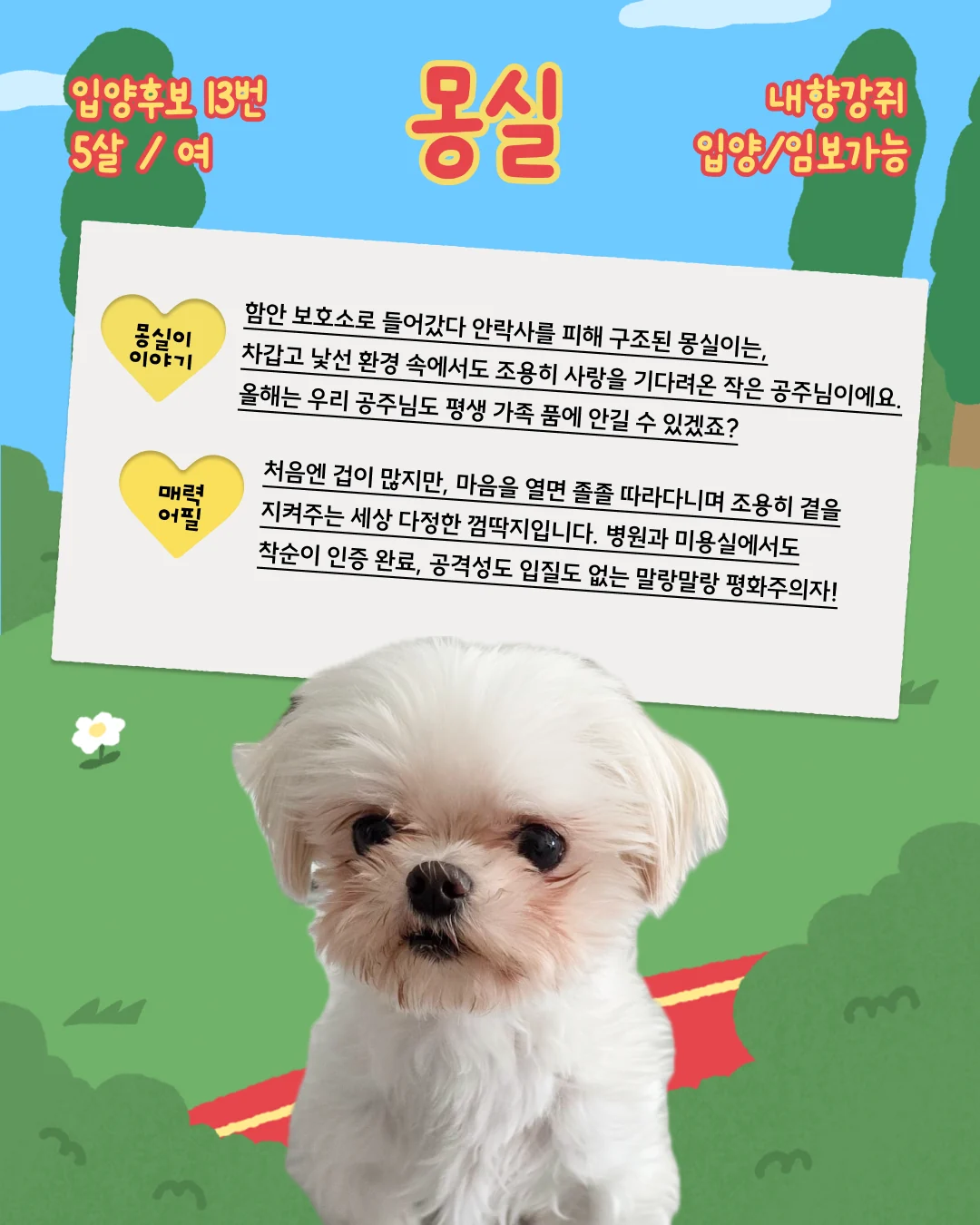몽실 대표 이미지