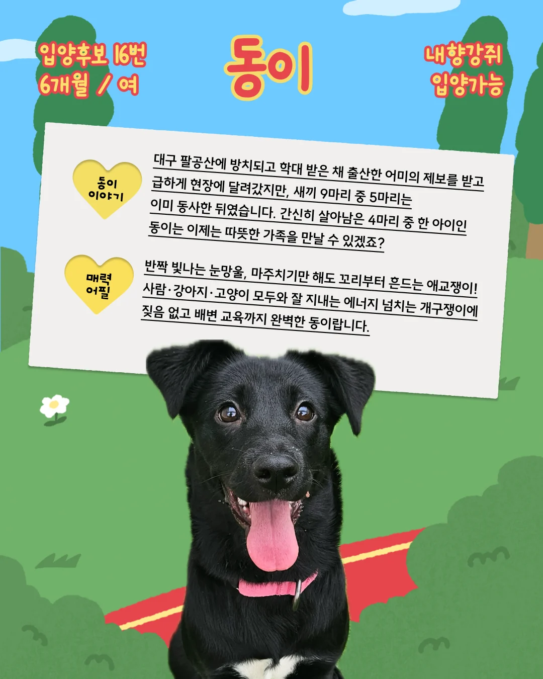 동이 대표 이미지