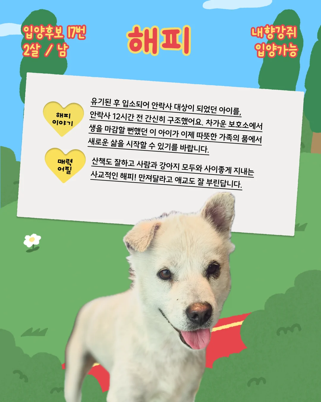 해피 대표 이미지