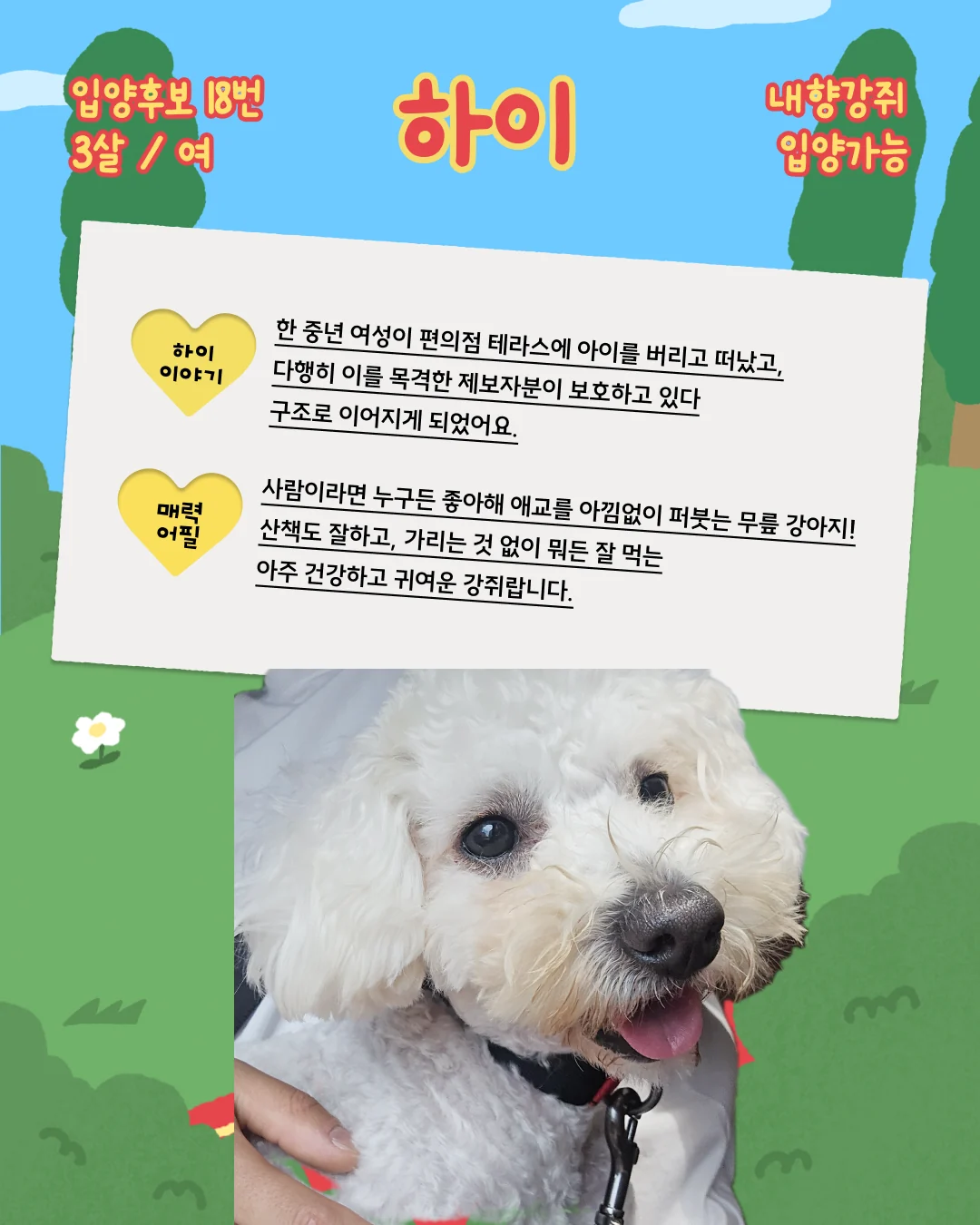하이 대표 이미지