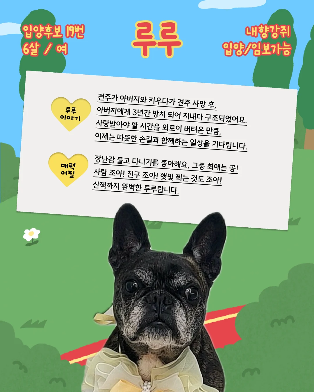 루루 대표 이미지