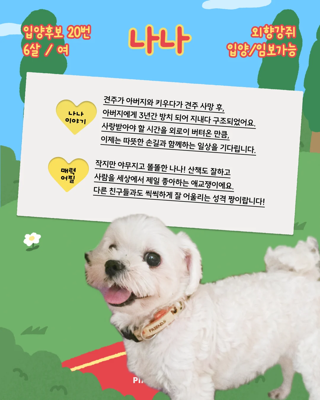 나나 대표 이미지
