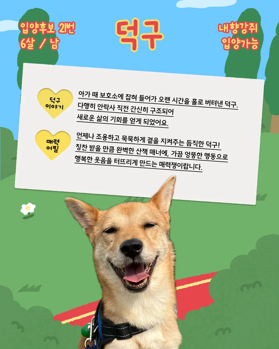 덕구 대표 이미지