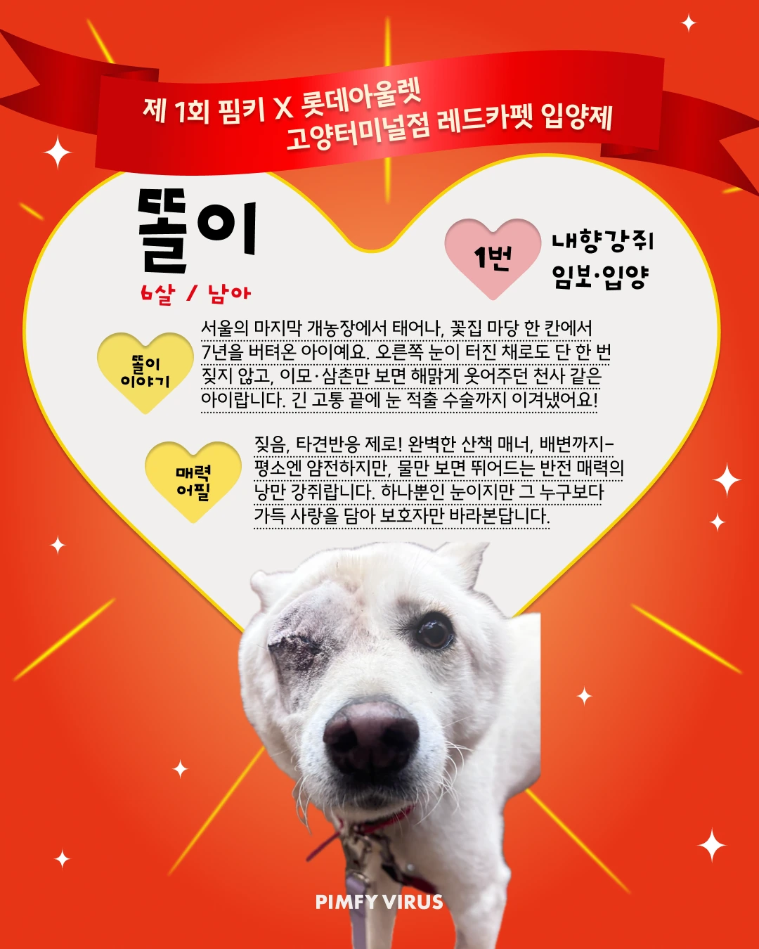 똘이 대표 이미지