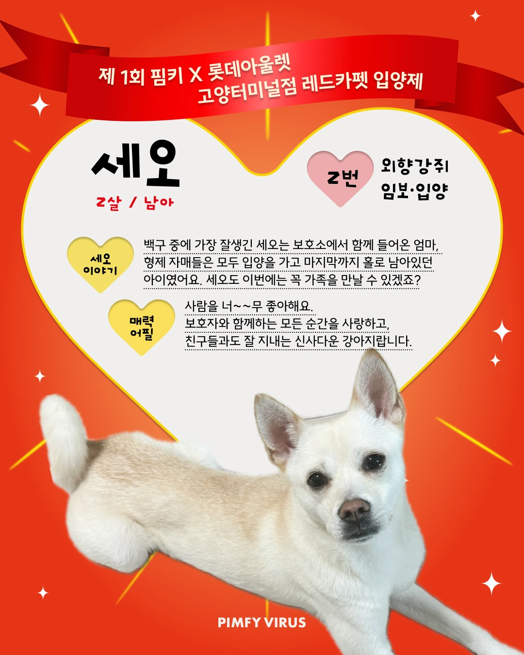 세오 대표 이미지