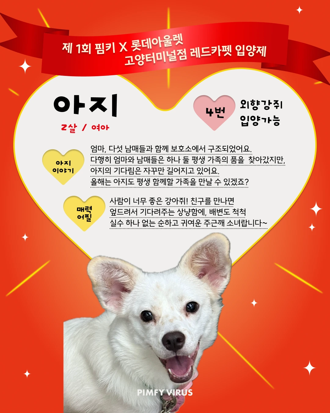 아지 대표 이미지