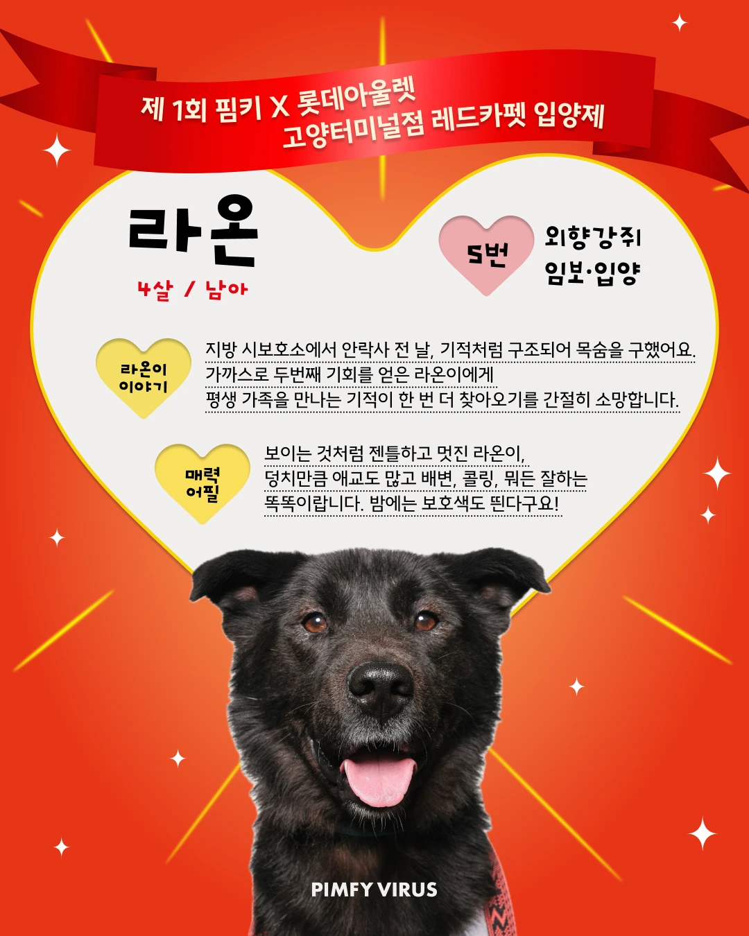 라온 대표 이미지