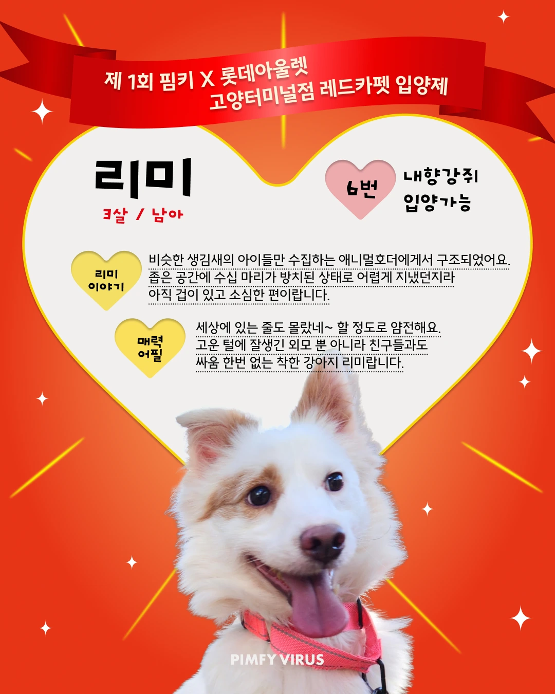 리미 대표 이미지