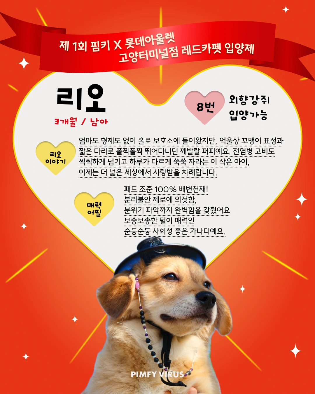 리오 대표 이미지