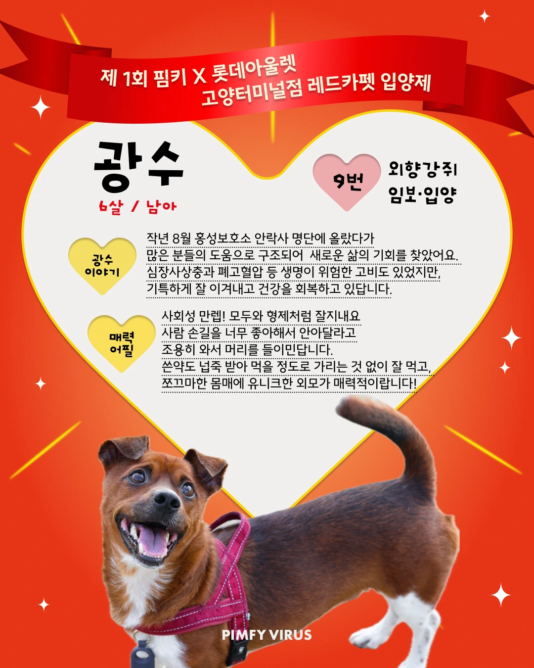 광수 대표 이미지