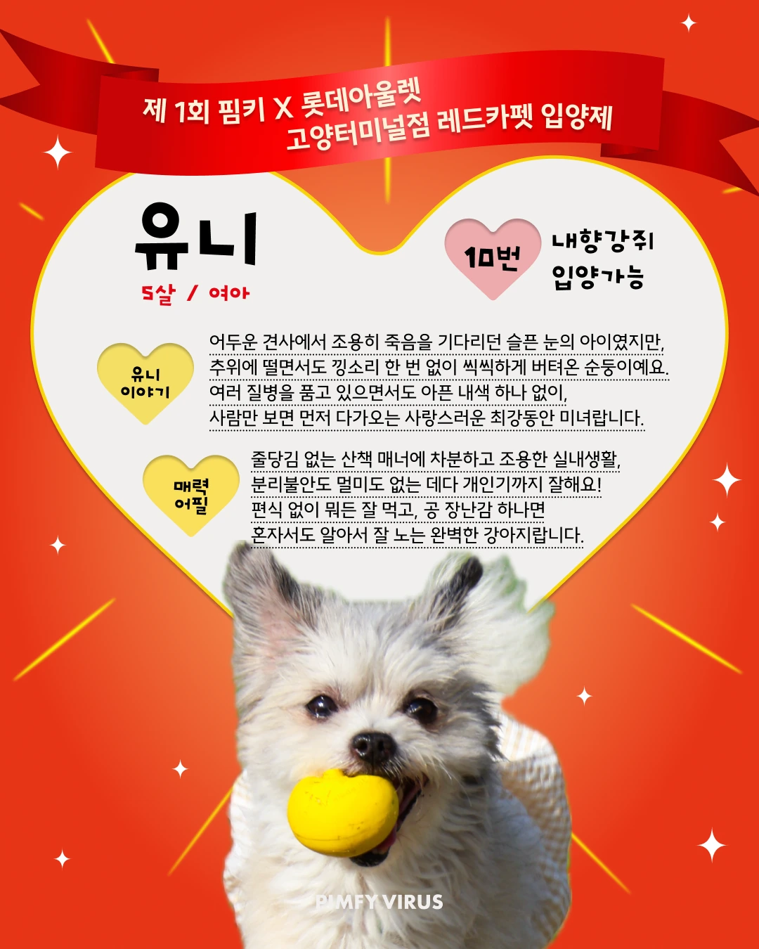 유니 대표 이미지