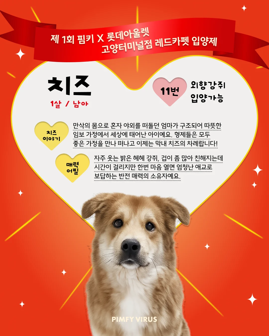 치즈 대표 이미지
