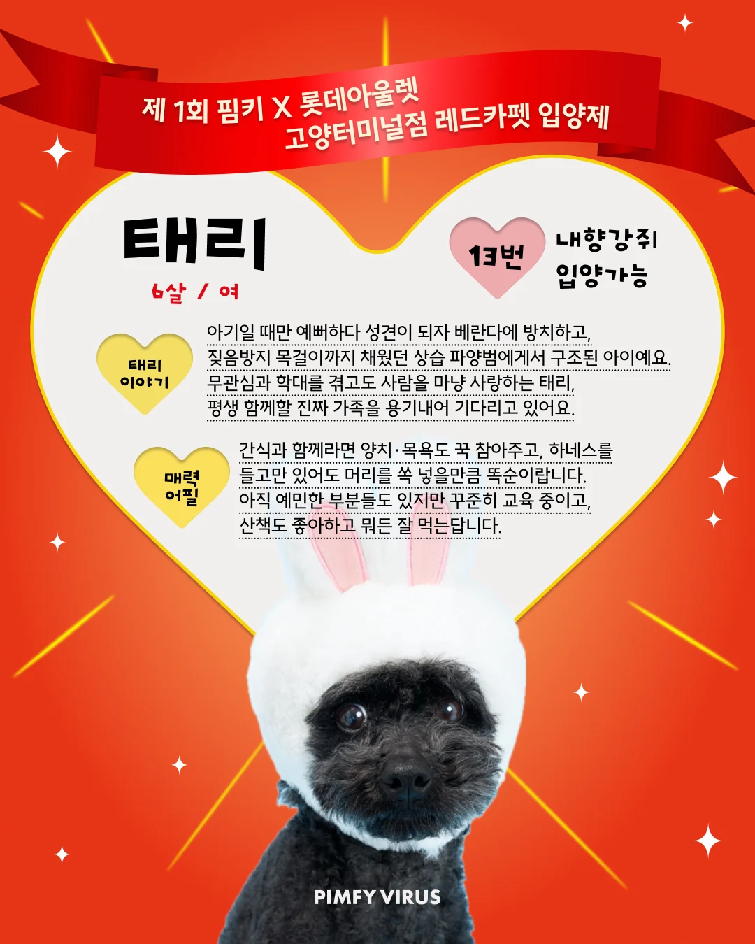 태리 대표 이미지
