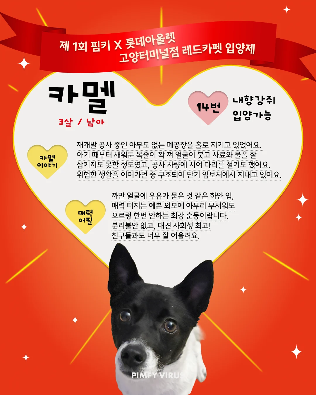 카멜 대표 이미지