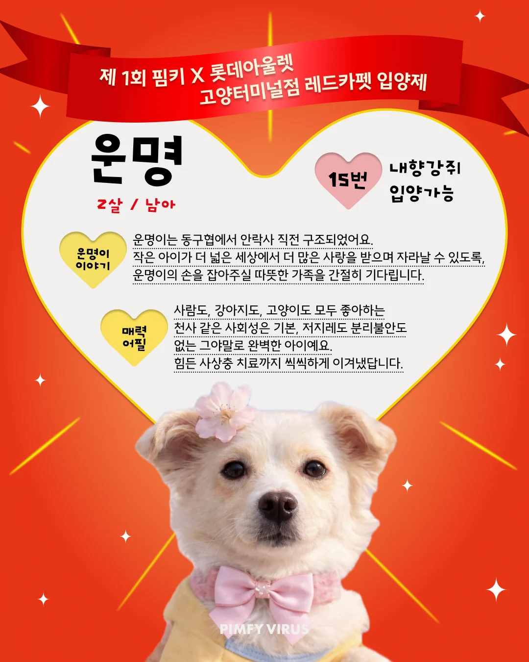 운명 대표 이미지
