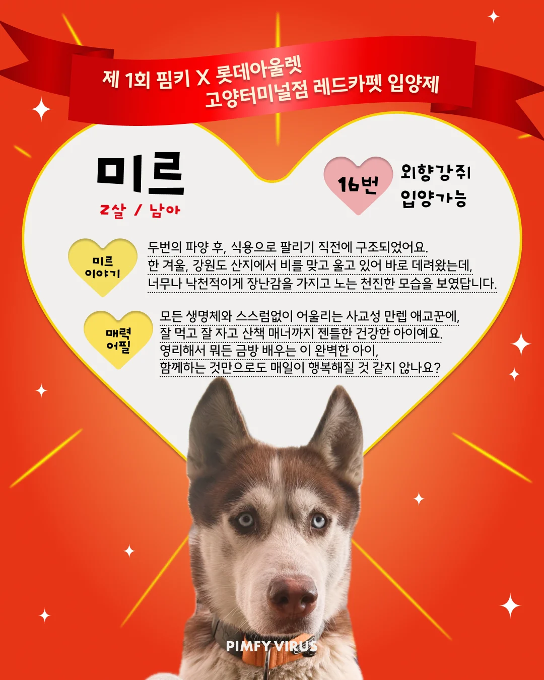 미르 대표 이미지