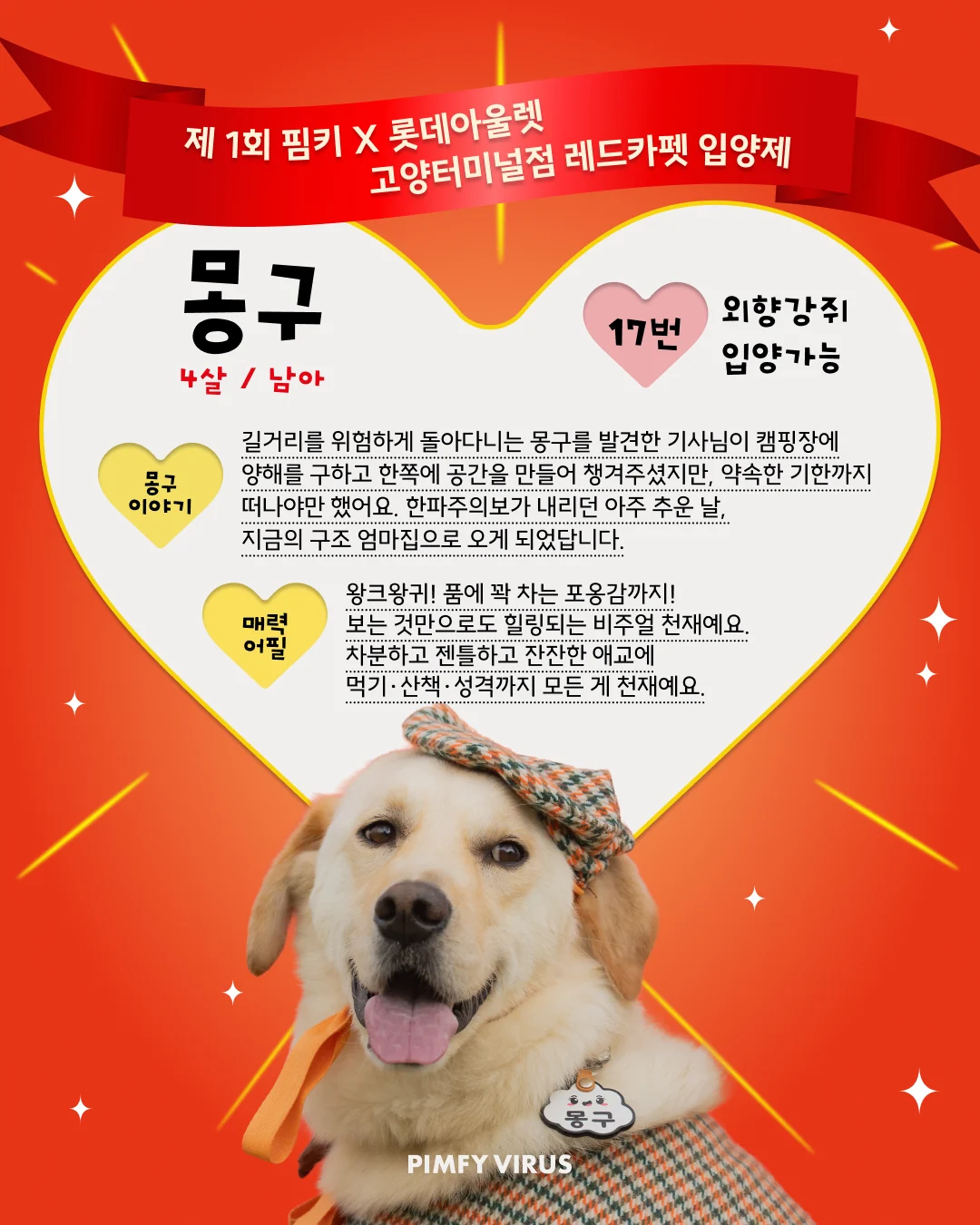 몽구 대표 이미지