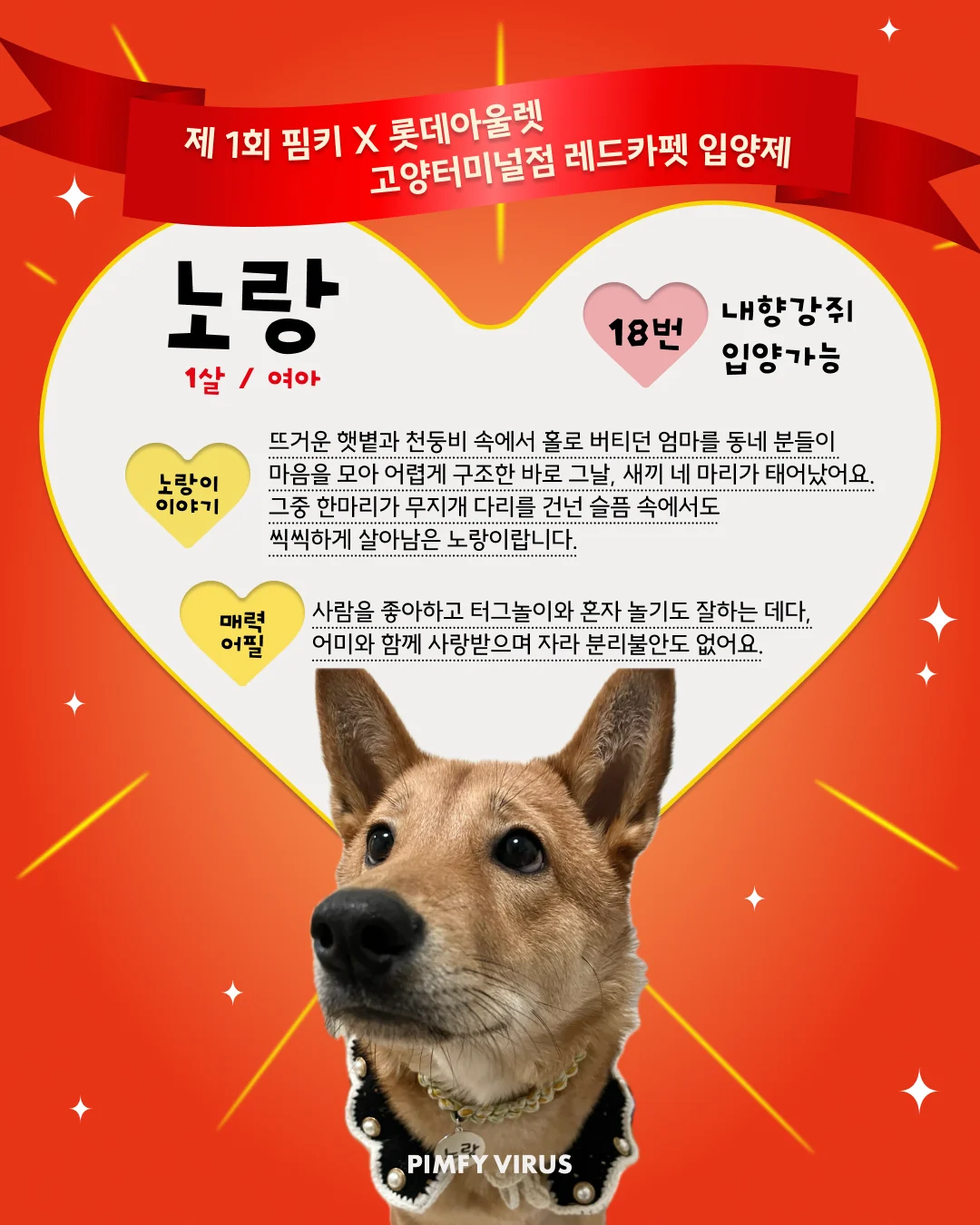 노랑 대표 이미지
