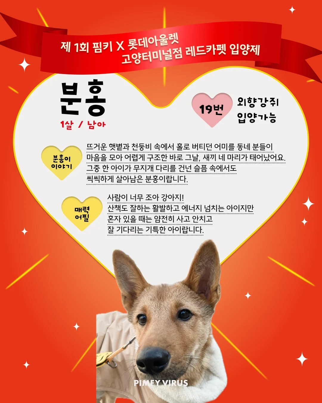 분홍 대표 이미지