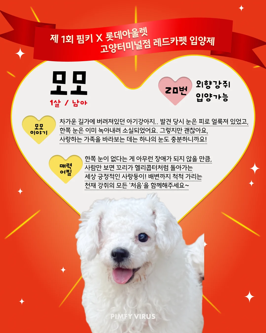 모모 대표 이미지