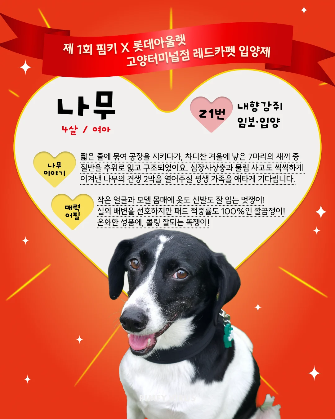 나무 대표 이미지
