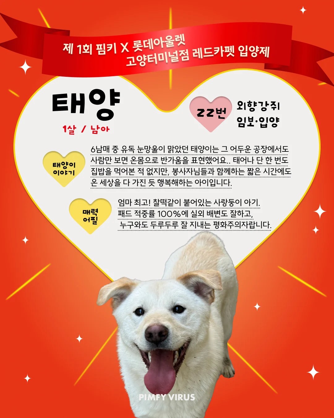 태양 대표 이미지