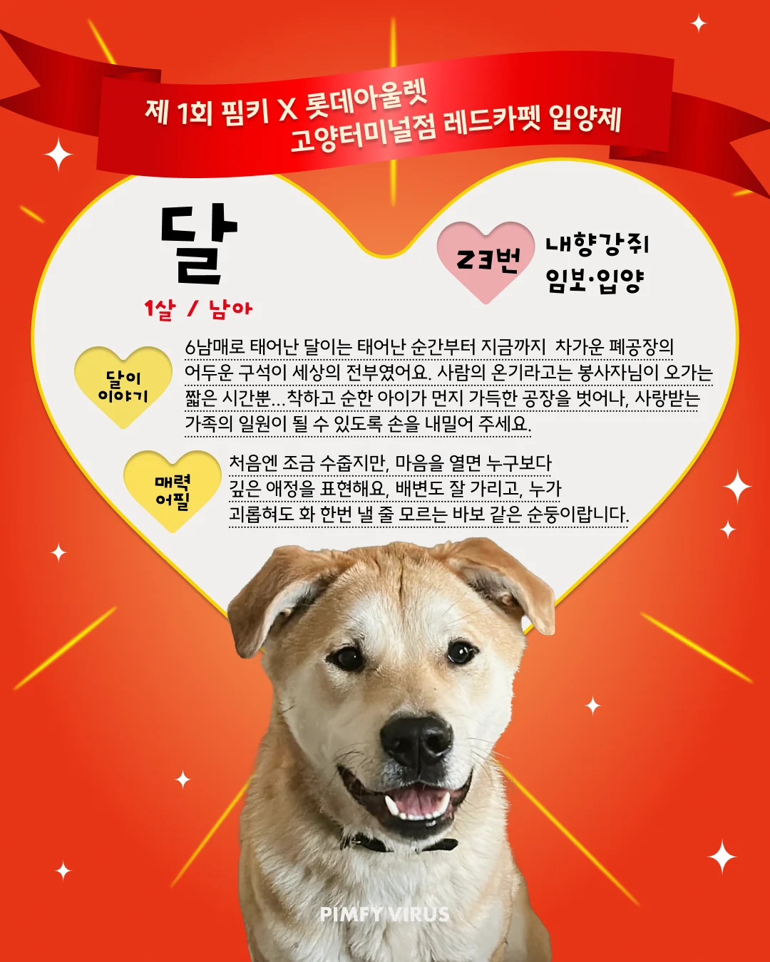 달 대표 이미지