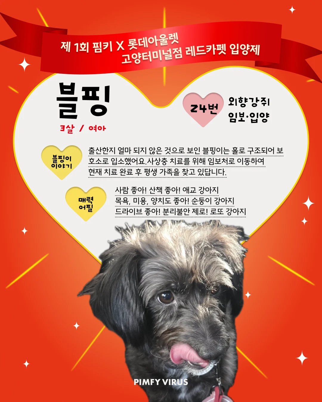 블핑 대표 이미지