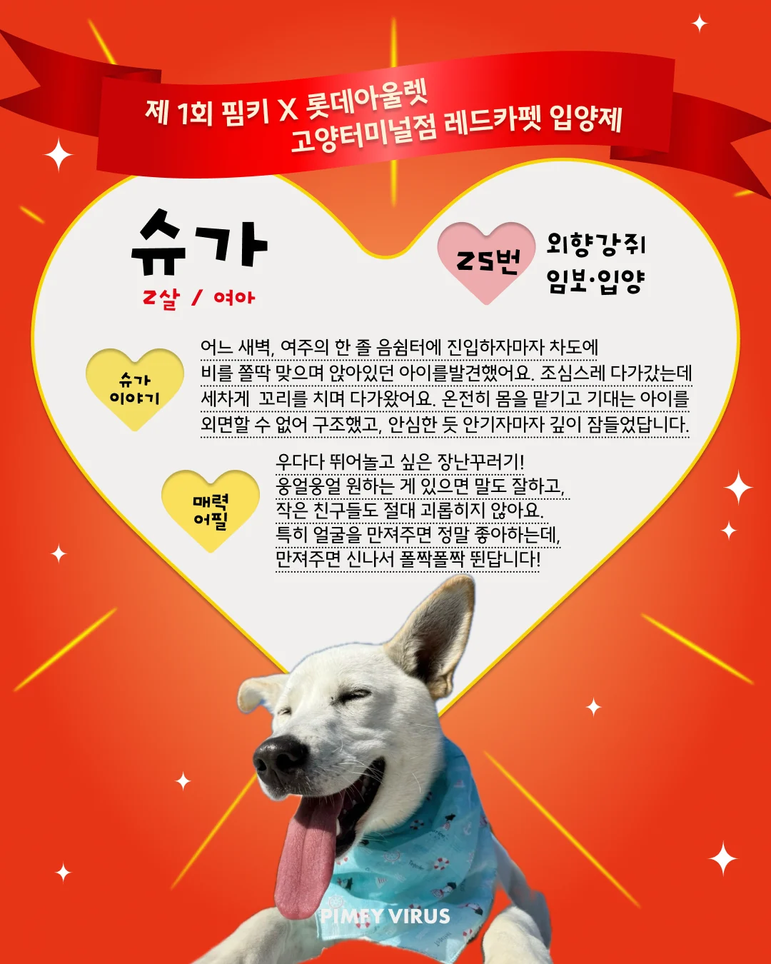 슈가 대표 이미지