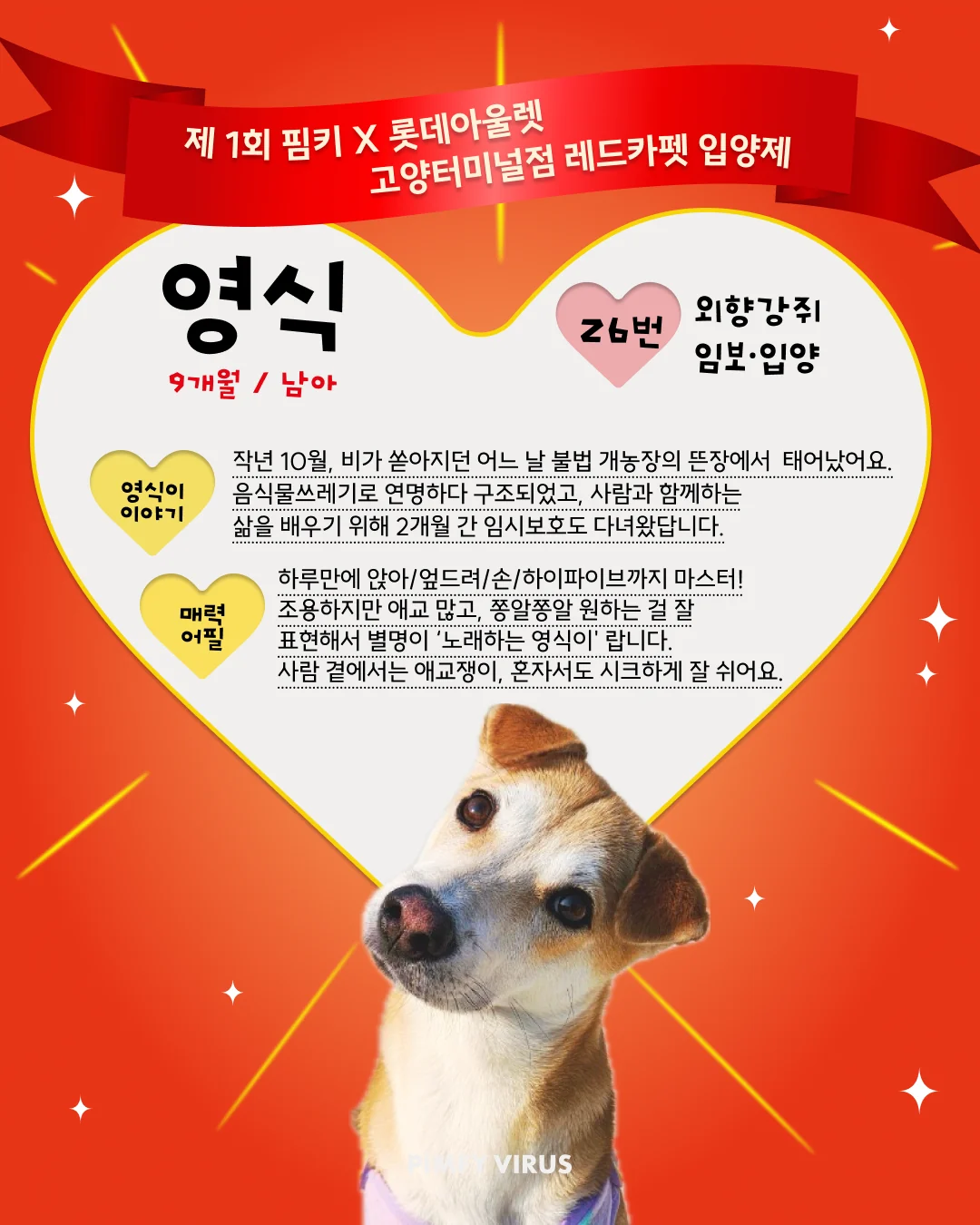 영식 대표 이미지