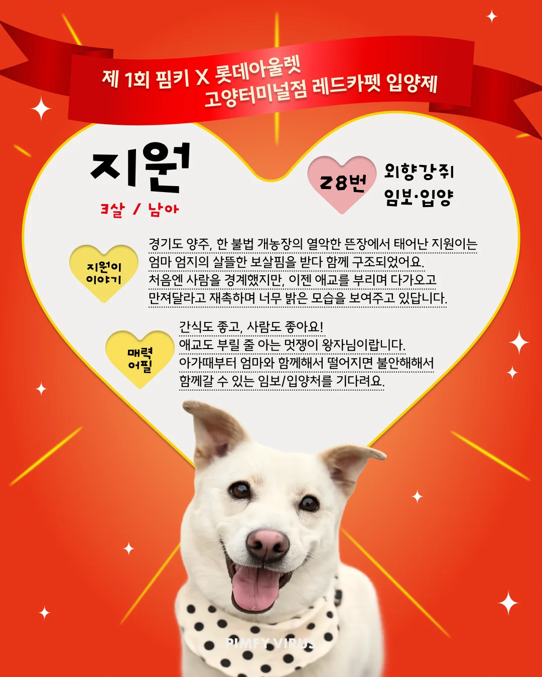 지원 대표 이미지