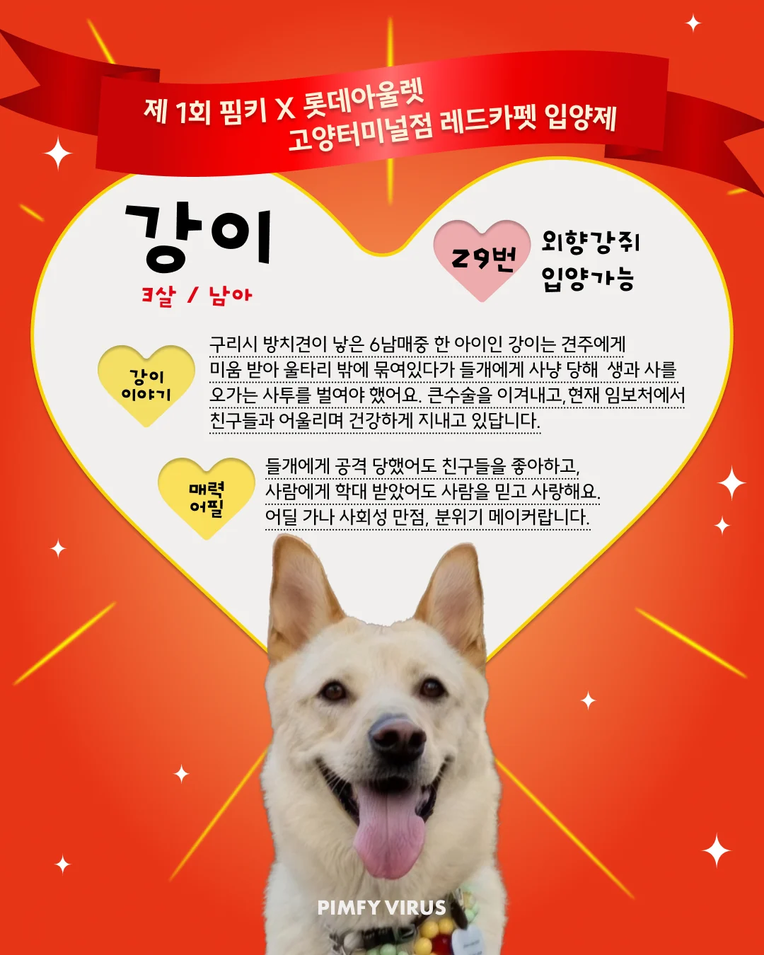 강이 대표 이미지