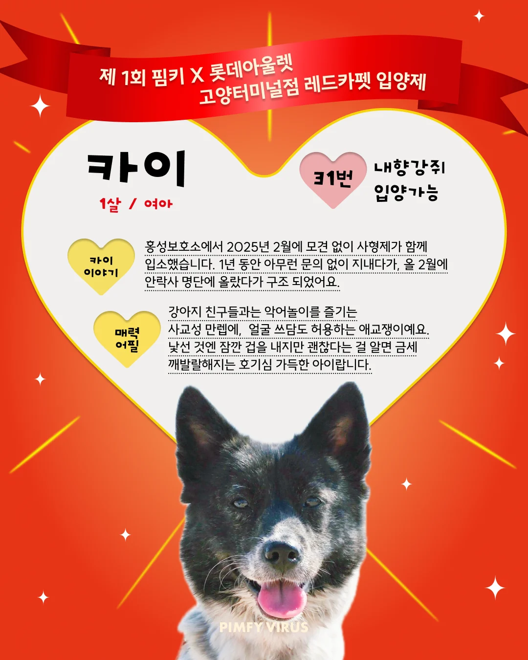 카이 대표 이미지