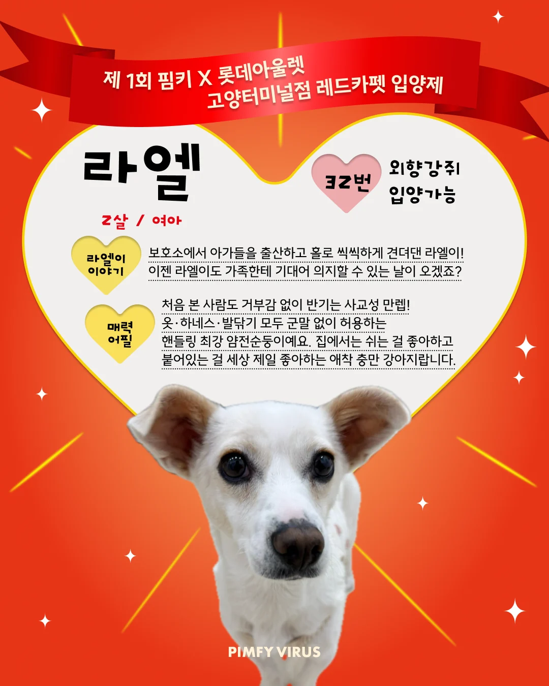 라엘 대표 이미지