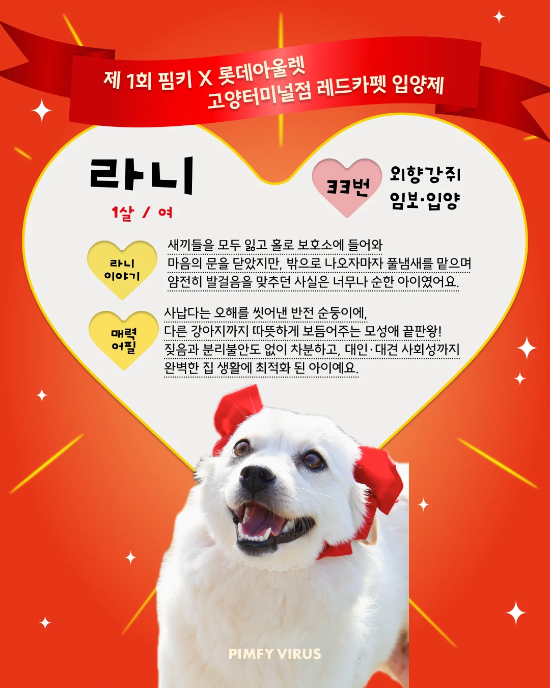 라니 대표 이미지