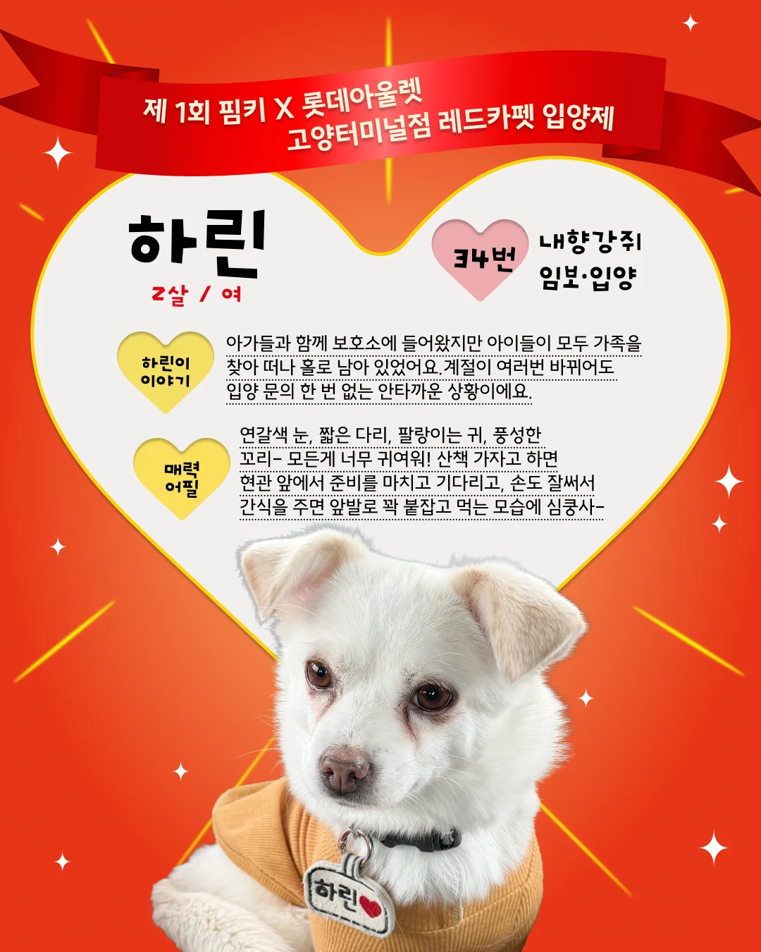 하린 대표 이미지