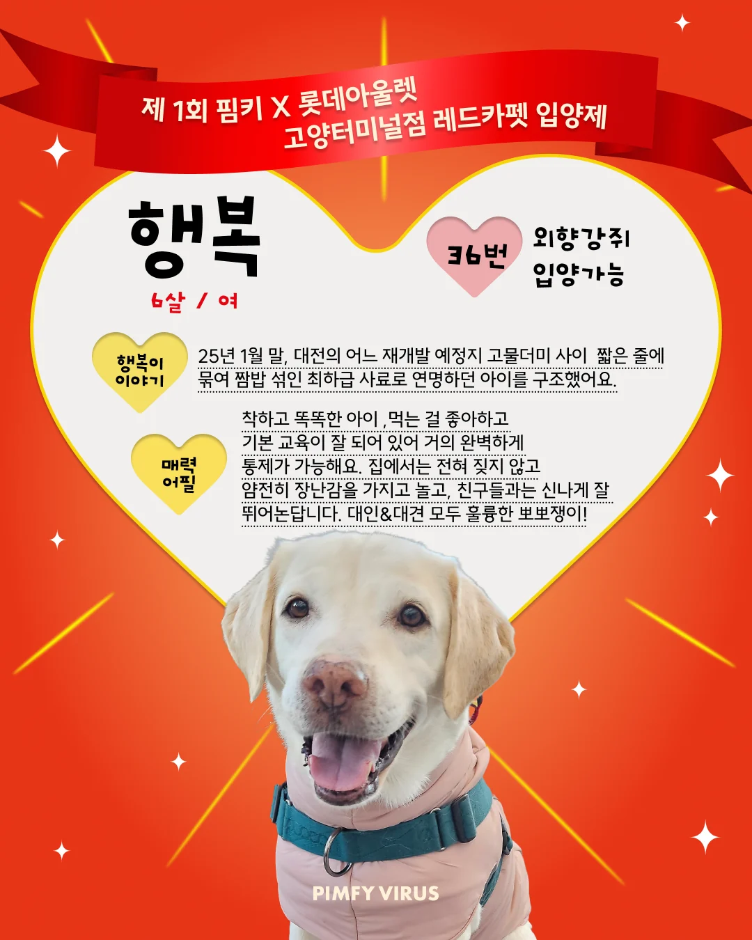 행복 대표 이미지