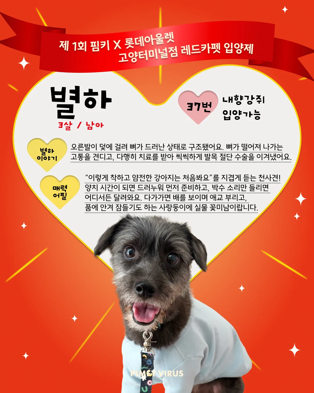 별하 대표 이미지