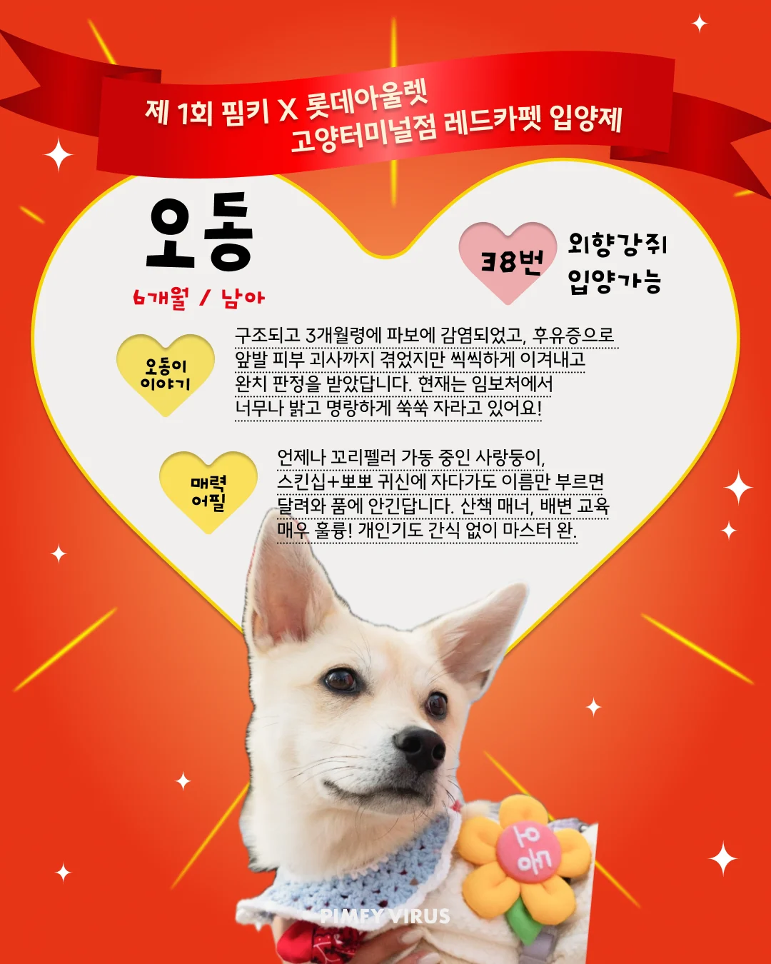 오동 대표 이미지